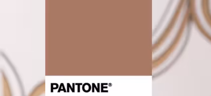 MOCHA MOUSSE: EL COLOR DEL 2025 EN LAS ETIQUETAS COSMÉTICAS